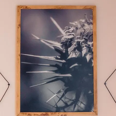 Albergo Centrale لاميزيا تيرمي