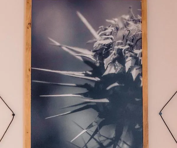 Albergo Centrale למזיה טרמה